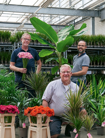 Verkopers Planten Bloemen