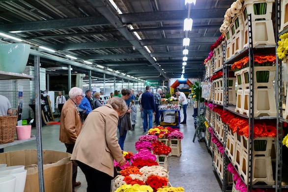 Kom in de Kas 2018 Zuidplas Gerbera Potplanten Mensen