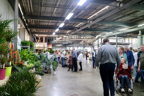 Kom in de Kas 2018 Zuidplas Gerbera Potplanten Mensen