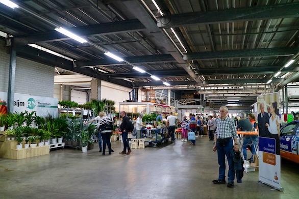 Kom in de Kas 2018 Zuidplas Gerbera Potplanten Mensen