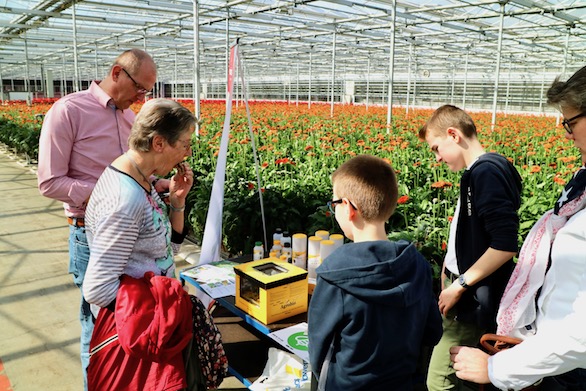 Kom in de Kas 2018 Zuidplas Gerbera Potplanten Mensen