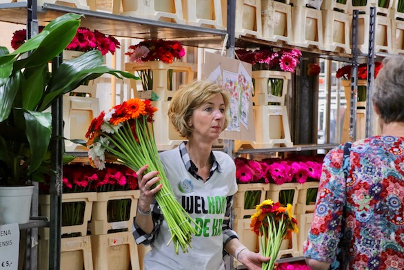 Kom in de Kas 2018 Zuidplas Gerbera Potplanten Mensen