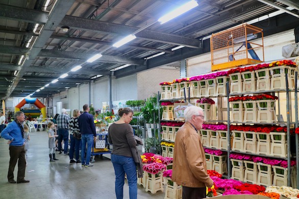 Kom in de Kas 2018 Zuidplas Gerbera Potplanten Mensen