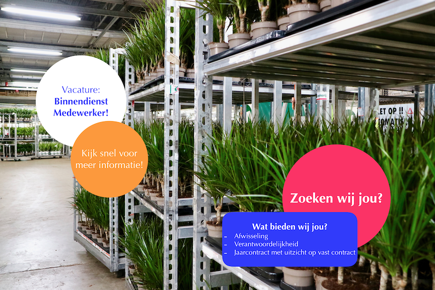 Vacature Medewerker Binnendienst